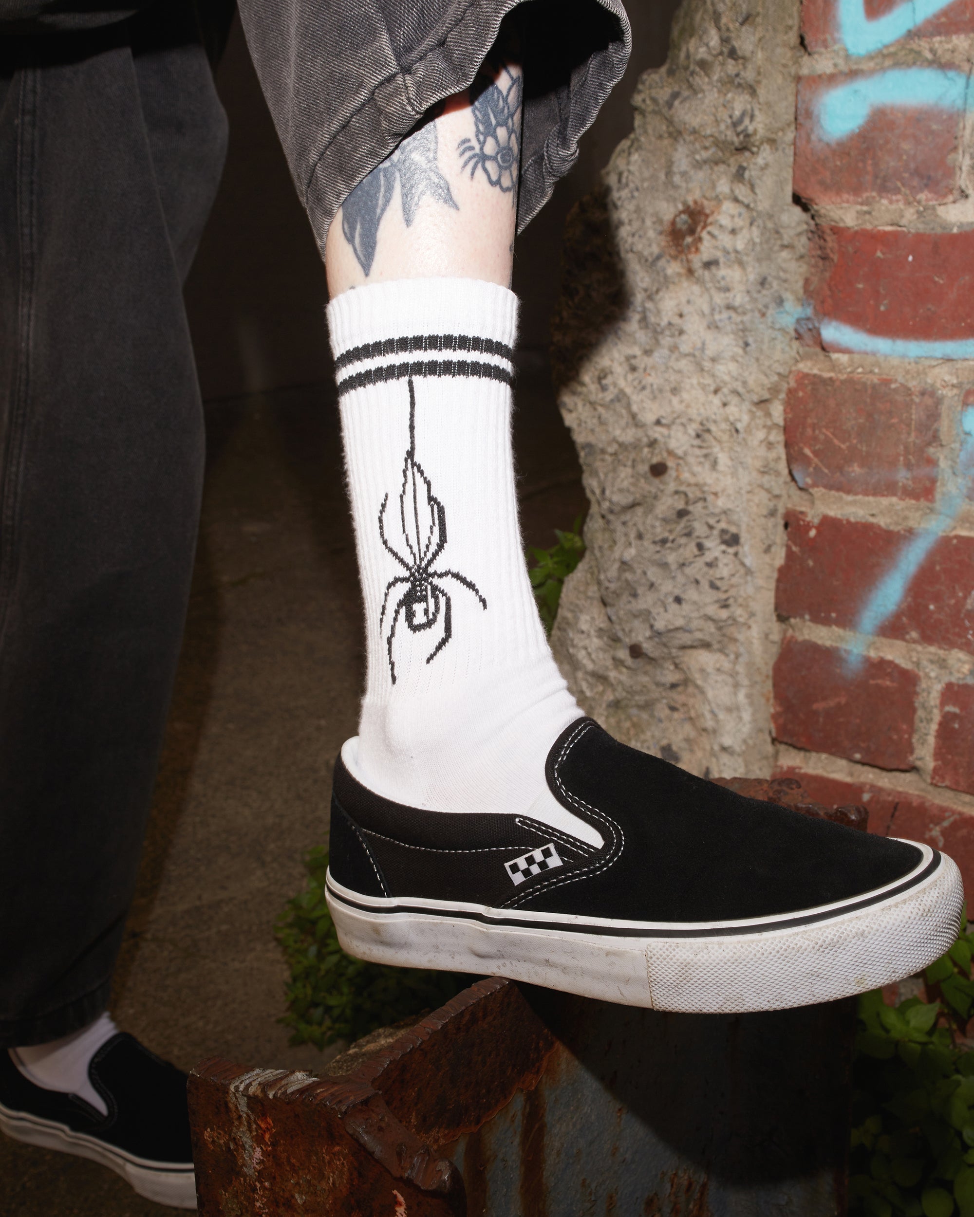 Spider Striped Socks White | Spider Sinclair
