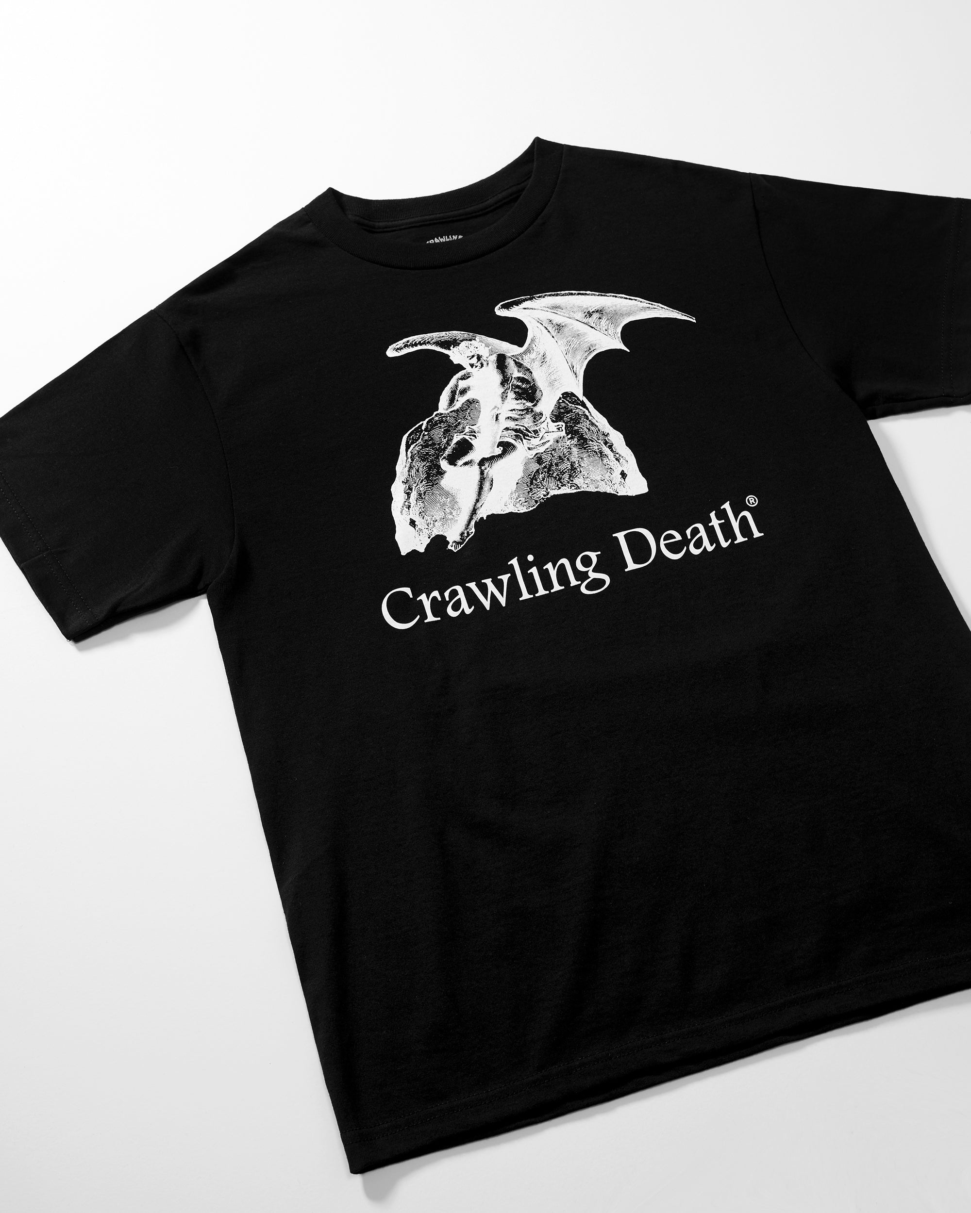 Fallen Angel T-Shirt  | Black